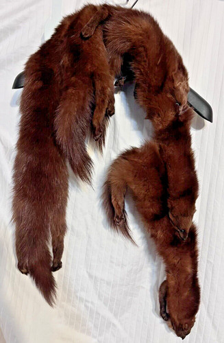 Vintage mink stole - vintage,