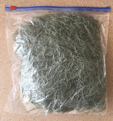 Gallon bag fresh - bag, oz)