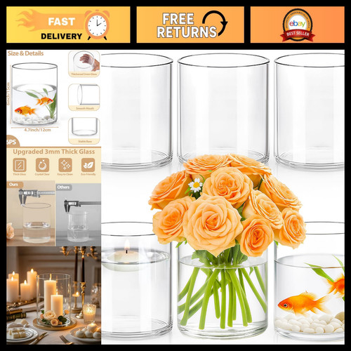 6pcs clear glass cylinder - 6pcs,