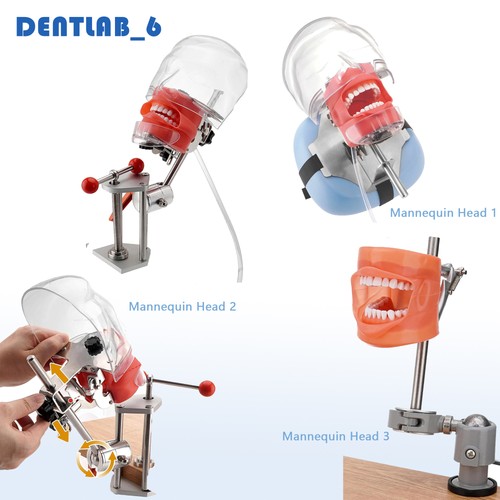 New dental simulator - dental,