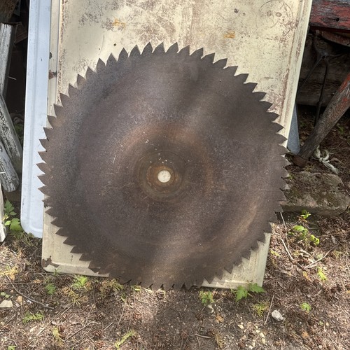 Large sawmill buzz saw - large,