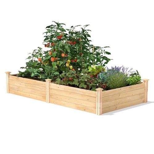 Ft cedar wood raised - 4,