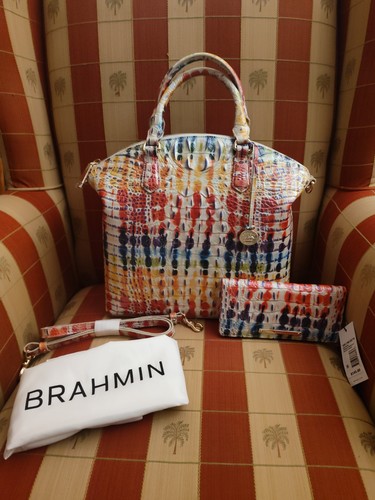 Brahmin celebrate large - brahmin,