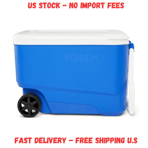Hot deal igloo - deal!,