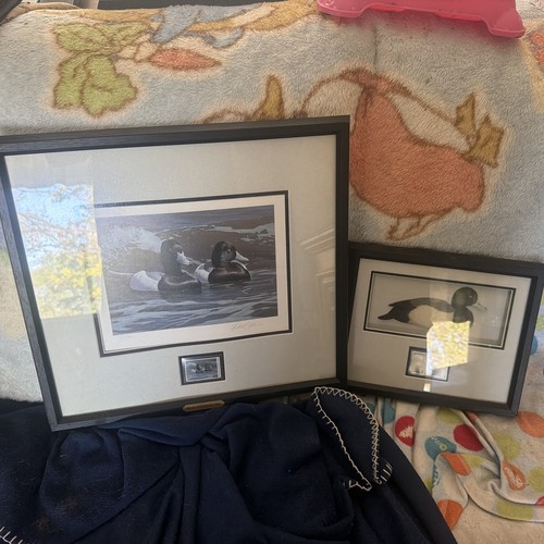 Rare 2003 ducks - 2003, unlimited