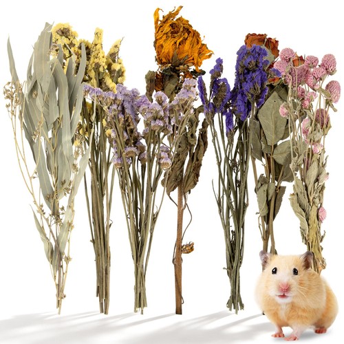 Hamster bedding spray - hamster,