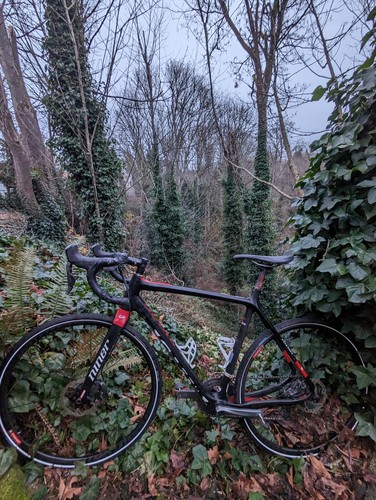 Niner bsb rdo - 56cm, factory