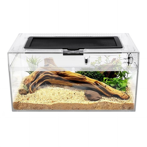 Reptile terrarium 7x11 8x5 - reptile,