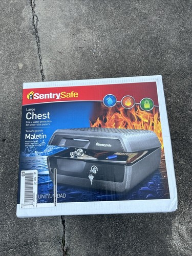 Sentrysafe ft fire - sentrysafe, 0.36
