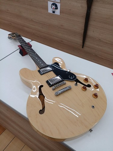 Epiphone dot - dot, na