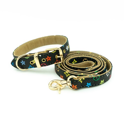 Black dog leash collar - dog,