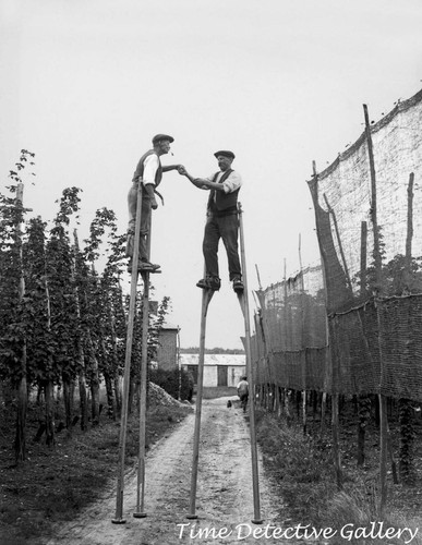 Hop workers stilts - workers,