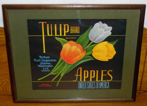 Vintage framed tulip brank - framed,