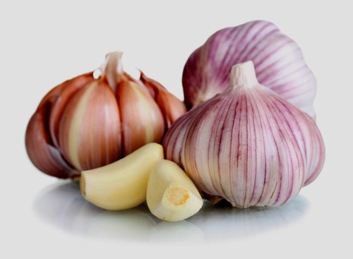 Fresh siberian hardneck garlic - fresh,