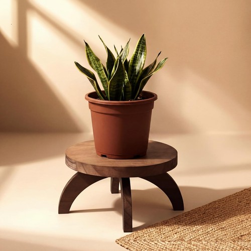Short wood plant pedestal - "short,
