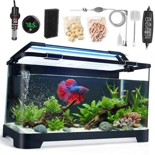 Betta fish tank all - betta,