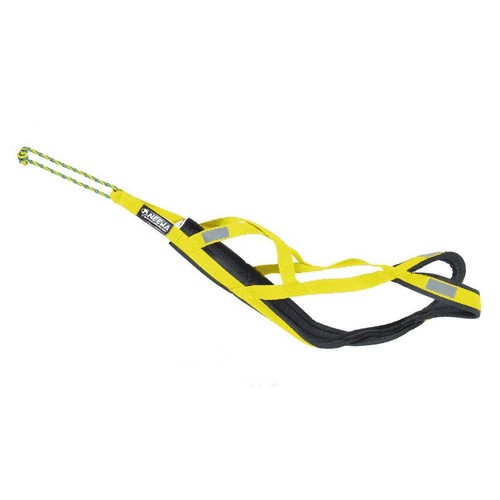 Neewa pro sled dog - neewa, harness