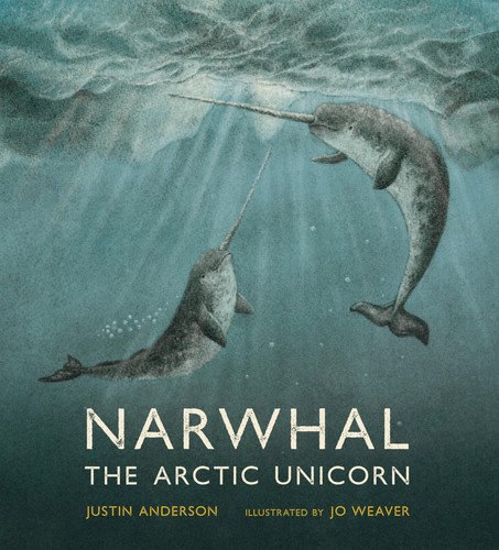 Narwhal the arctic unicorn - arctic,