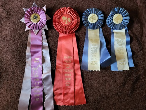 Yuma arizona horse - arizona", show