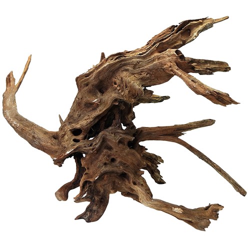 Large natural aquarium - natural,