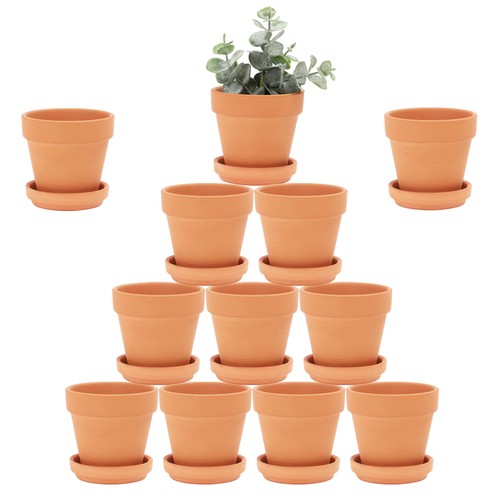 Large terra cotta pots with - pots,