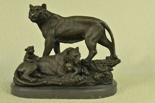 Large lion cougar - large, family