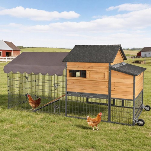 Large chicken coop with run - large,