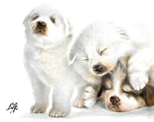 Original oil dog portrait - original,