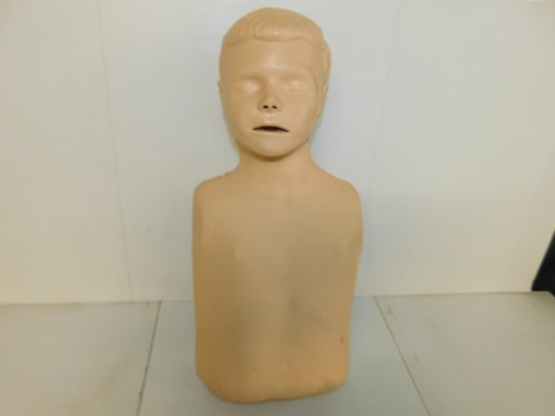 Laerdal adult male torso - adult, cpr