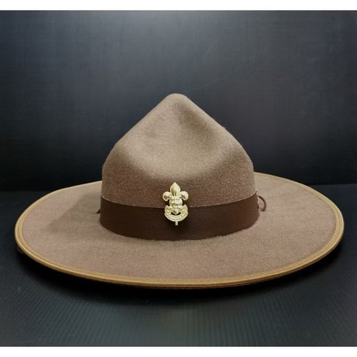 Boy scouts felt - , hat