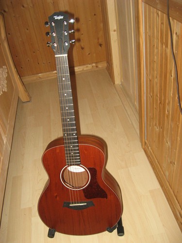 Taylor mini 2013 solid - mini,