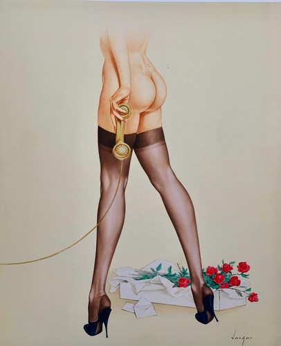 Stockings leg and roses pinup - stockings,,