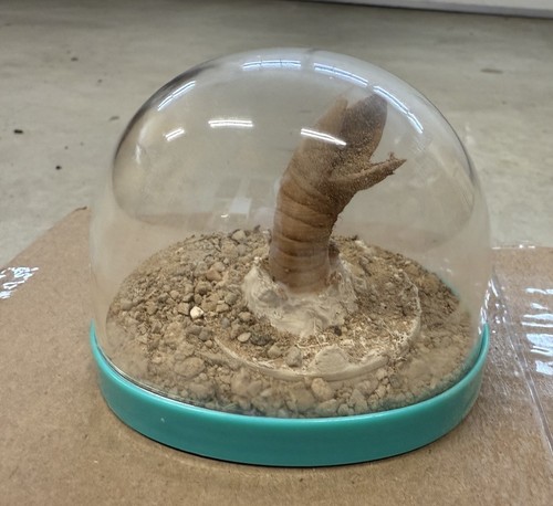 Dune sandworm dirt - dune, sand
