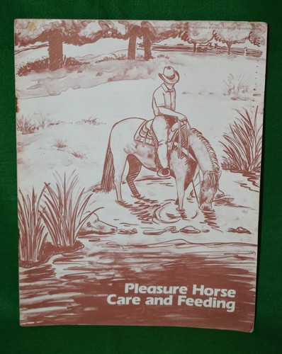 Vintage pleasure horse - pleasure, care