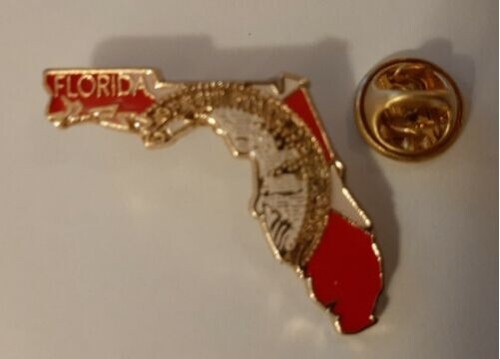 Florida state flag - florida, map