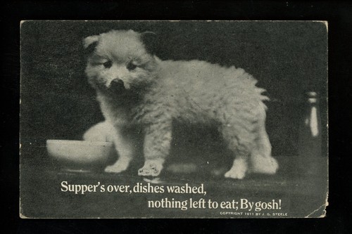 Dog puppy postcard - , great
