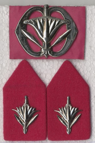 Military badge set original - badge,