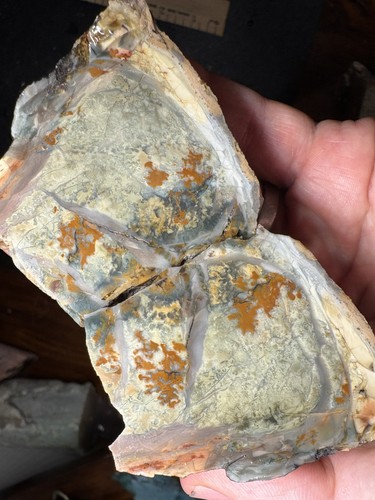 Old stock morrisonite - morrisonite, jasper