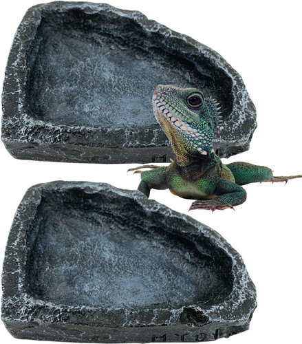 Reptile water dish food bowl - reptile,