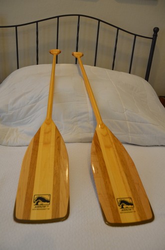 Bending branches arrow canoe - branches,