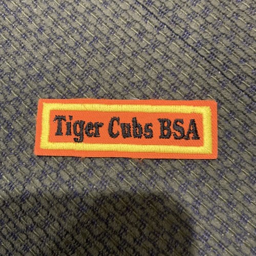 Boy scout bsa - boy,