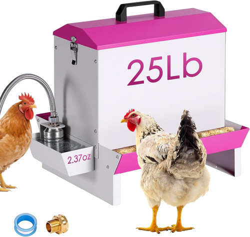 25lb metal chicken feeder and - metal,
