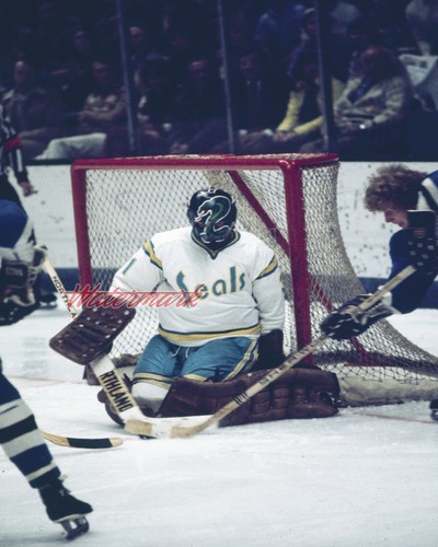 Nhl california golden - nhl,