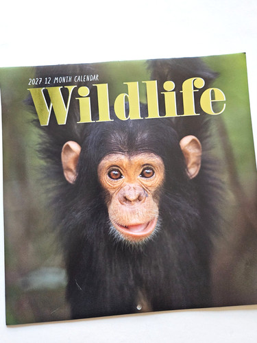 2027 wildlife month - /, 12-month