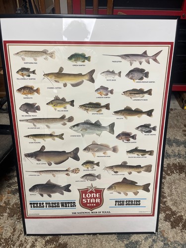 Lone star beer - star, freshwater