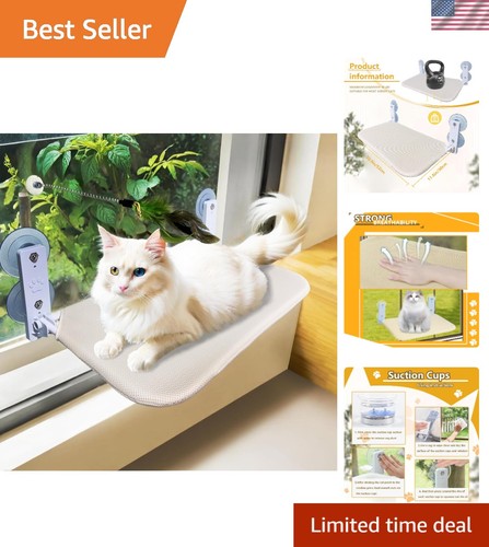 Multi functional cat window - multi-functional,