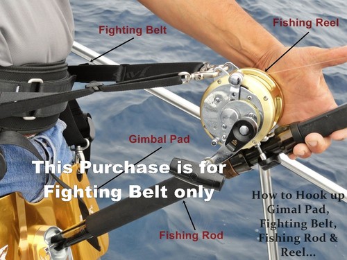 Jaws ultimate fighting belt - ultimate,
