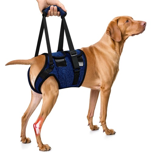 Slowton dog lift harness - slowton,