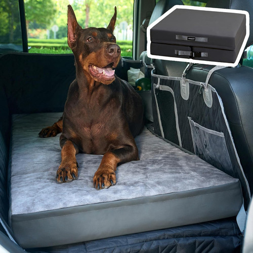 Travel dog car - dog,