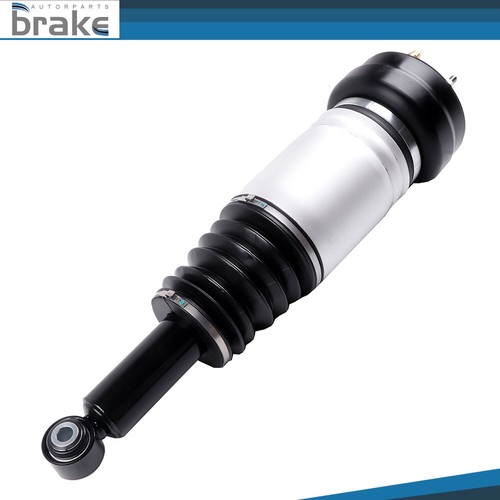 Rear air suspension shock - rear,